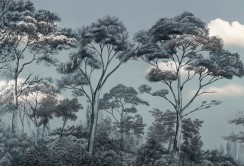 Fototapetas su medžiais 500cm x 250cm