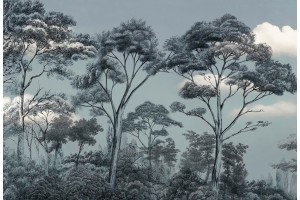 Fototapetas su medžiais 500cm x 250cm