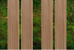 Fototapetas su samanų imitacija 500cm x 250cm