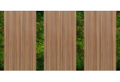 Fototapetas su samanų imitacija 500cm x 250cm