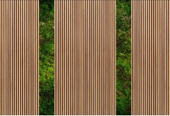 Fototapetas su samanų imitacija 500cm x 250cm