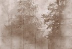 Fototapetas miško šešėliai 400cm x 270cm Fototapetas miško šešėliai 400cm x 270cm