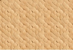 Fototapetas 3D dizaino rusvas 400cm x 270cm