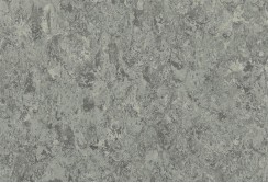 Linoleumas Veneto 2,5mm ALUMINIUM 672