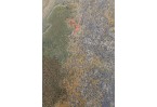 Kilimas Argentum apvalus  1,60*1,60