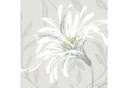 Tapetai W160110101