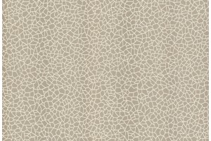 Tapetai W160110702