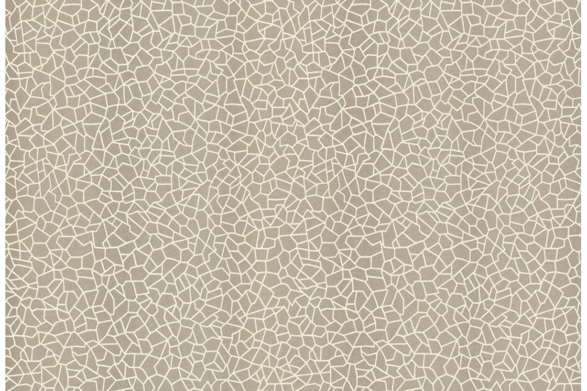 Tapetai W160110702