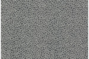Tapetai W160110706