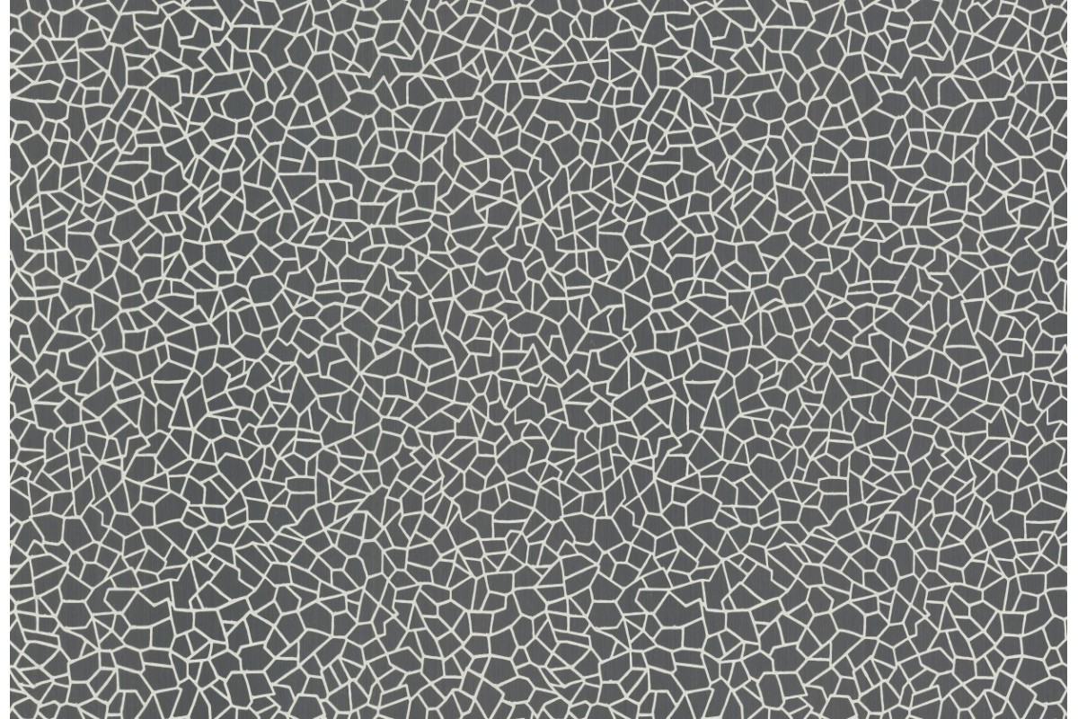 Tapetai W160110706