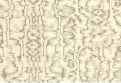 Tapetai W160210501