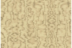 Tapetai W160210503