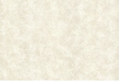 Tapetai W160210701