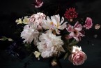 Foto tapetas DD118518