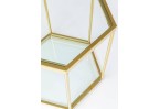 Staliukas Comb Gold 55
