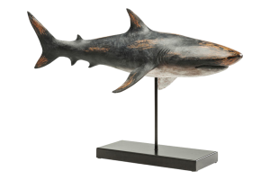 Dekoracija Shark Base