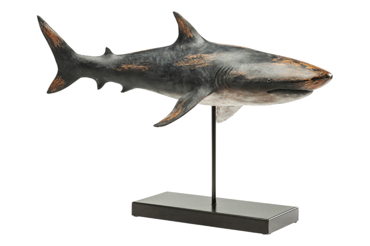 Dekoracija Shark Base