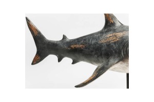 Dekoracija Shark Base
