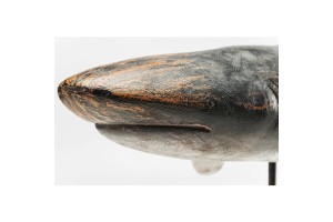Dekoracija Shark Base
