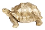 Dekoracija Turtle Gold