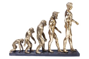 Dekoracija Evolution