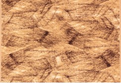 Kiliminis takas Brush-17 0.67