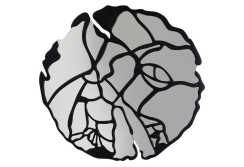 Veidrodis