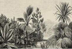 Fototapetas 371cm x 280cm