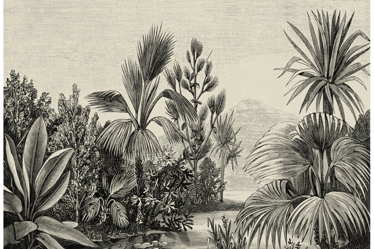 Fototapetas 371cm x 280cm