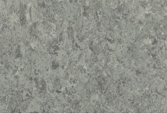Linoleumas Veneto ALUMINIUM 672
