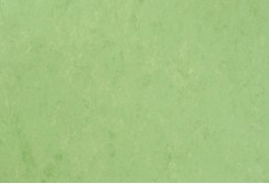 Linoleumas Veneto 2,5mm APPLE GREEN 754
